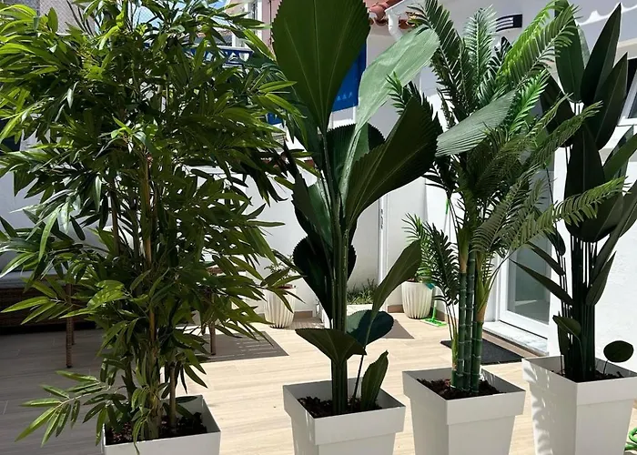 At Maries 4 Пениши